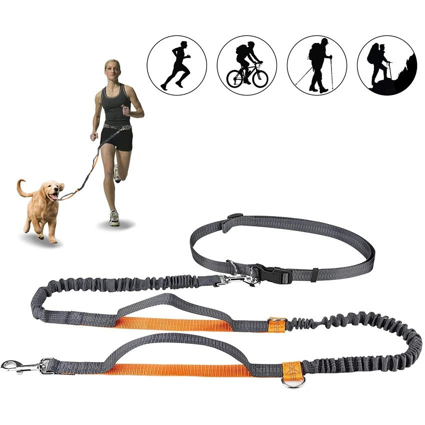 Get Your Pet Moving with Our Adjustable Jogging Harness Leash Control Gear